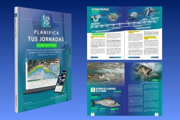 Manual Online